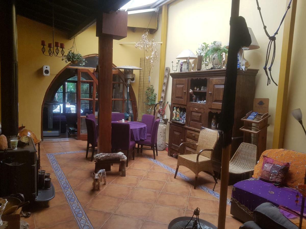 Homestay Petro's Antique House *